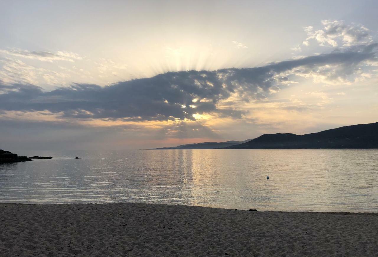 Magnifique Appartement Devant La Plage Propriano  Ngoại thất bức ảnh